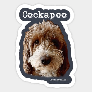 Red and White Cockapoo / Spoodle and Doodle Dog Sticker